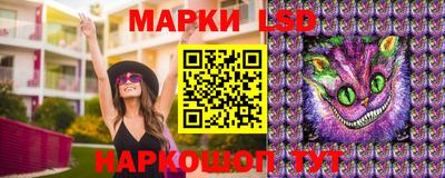 mdpv Можга