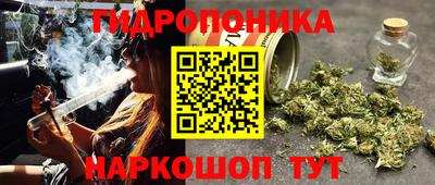 дмт Моздок
