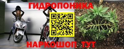 кокс Нарткала